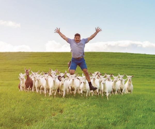 image of Happy, healthy goats treated like pets on award winning farm
